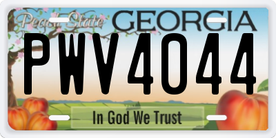 GA license plate PWV4044