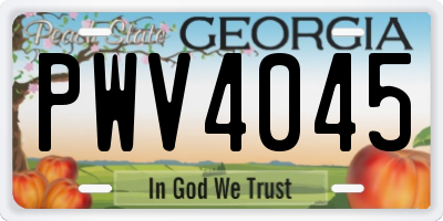 GA license plate PWV4045