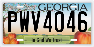 GA license plate PWV4046