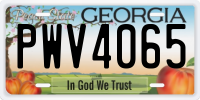 GA license plate PWV4065