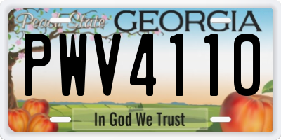 GA license plate PWV4110