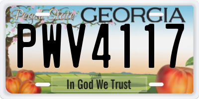 GA license plate PWV4117