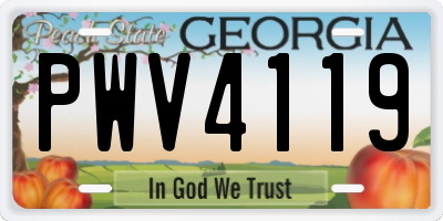 GA license plate PWV4119