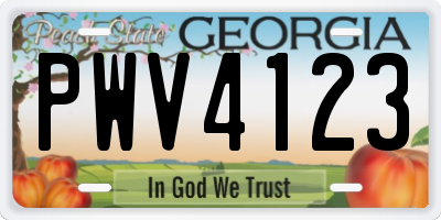 GA license plate PWV4123