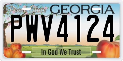 GA license plate PWV4124