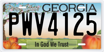 GA license plate PWV4125