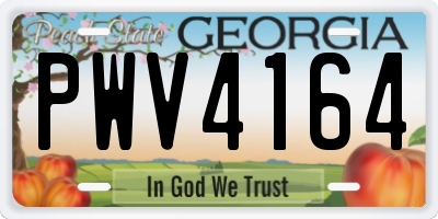 GA license plate PWV4164