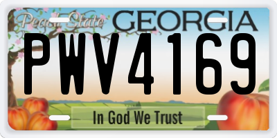 GA license plate PWV4169