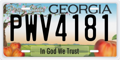 GA license plate PWV4181