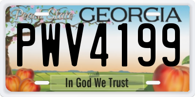 GA license plate PWV4199
