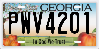 GA license plate PWV4201