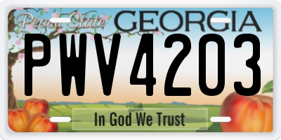 GA license plate PWV4203