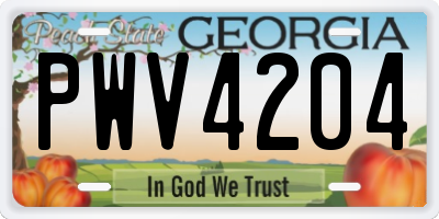 GA license plate PWV4204