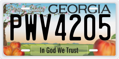 GA license plate PWV4205