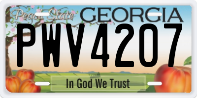 GA license plate PWV4207