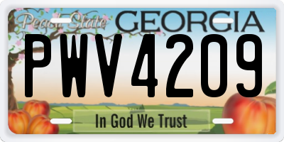 GA license plate PWV4209