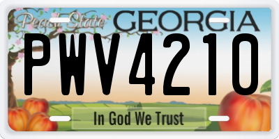 GA license plate PWV4210