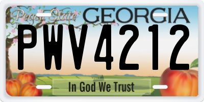GA license plate PWV4212