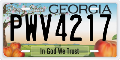 GA license plate PWV4217