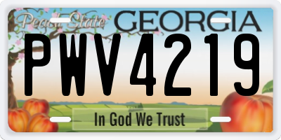 GA license plate PWV4219
