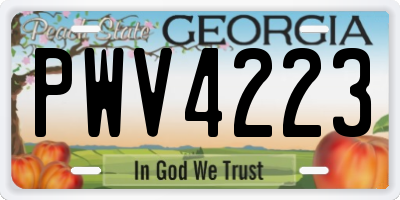 GA license plate PWV4223