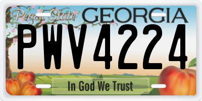 GA license plate PWV4224