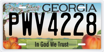 GA license plate PWV4228