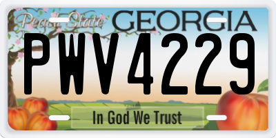 GA license plate PWV4229