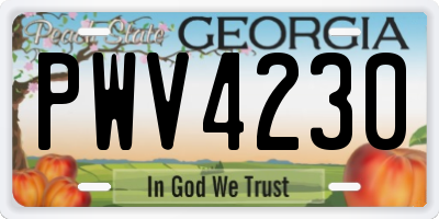GA license plate PWV4230
