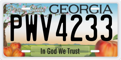 GA license plate PWV4233