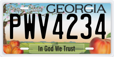GA license plate PWV4234