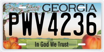 GA license plate PWV4236
