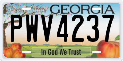 GA license plate PWV4237