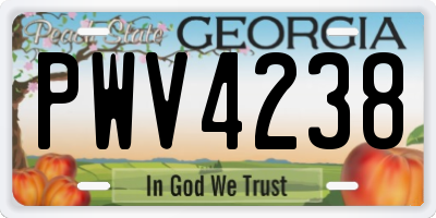 GA license plate PWV4238