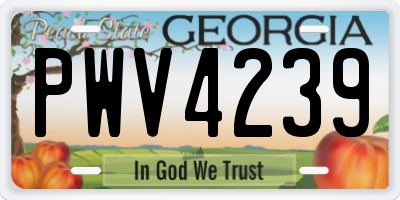 GA license plate PWV4239