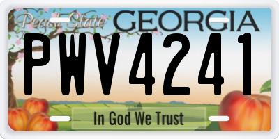 GA license plate PWV4241