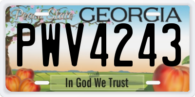 GA license plate PWV4243