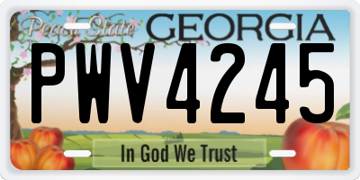 GA license plate PWV4245
