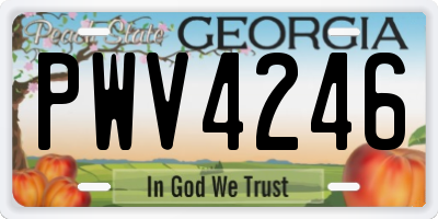 GA license plate PWV4246