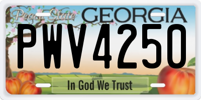 GA license plate PWV4250