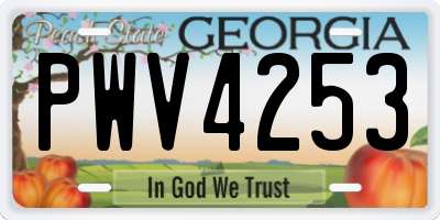 GA license plate PWV4253