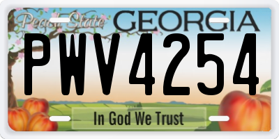 GA license plate PWV4254