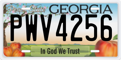 GA license plate PWV4256