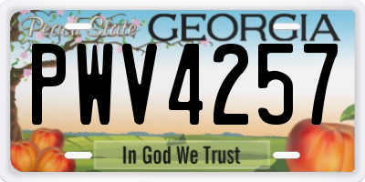 GA license plate PWV4257