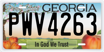 GA license plate PWV4263
