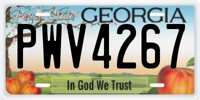 GA license plate PWV4267