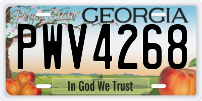GA license plate PWV4268