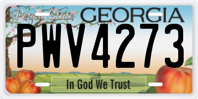 GA license plate PWV4273