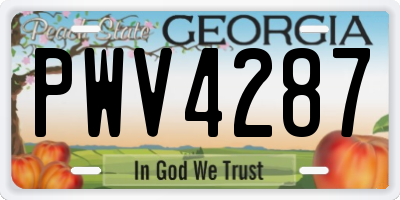 GA license plate PWV4287