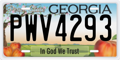 GA license plate PWV4293
